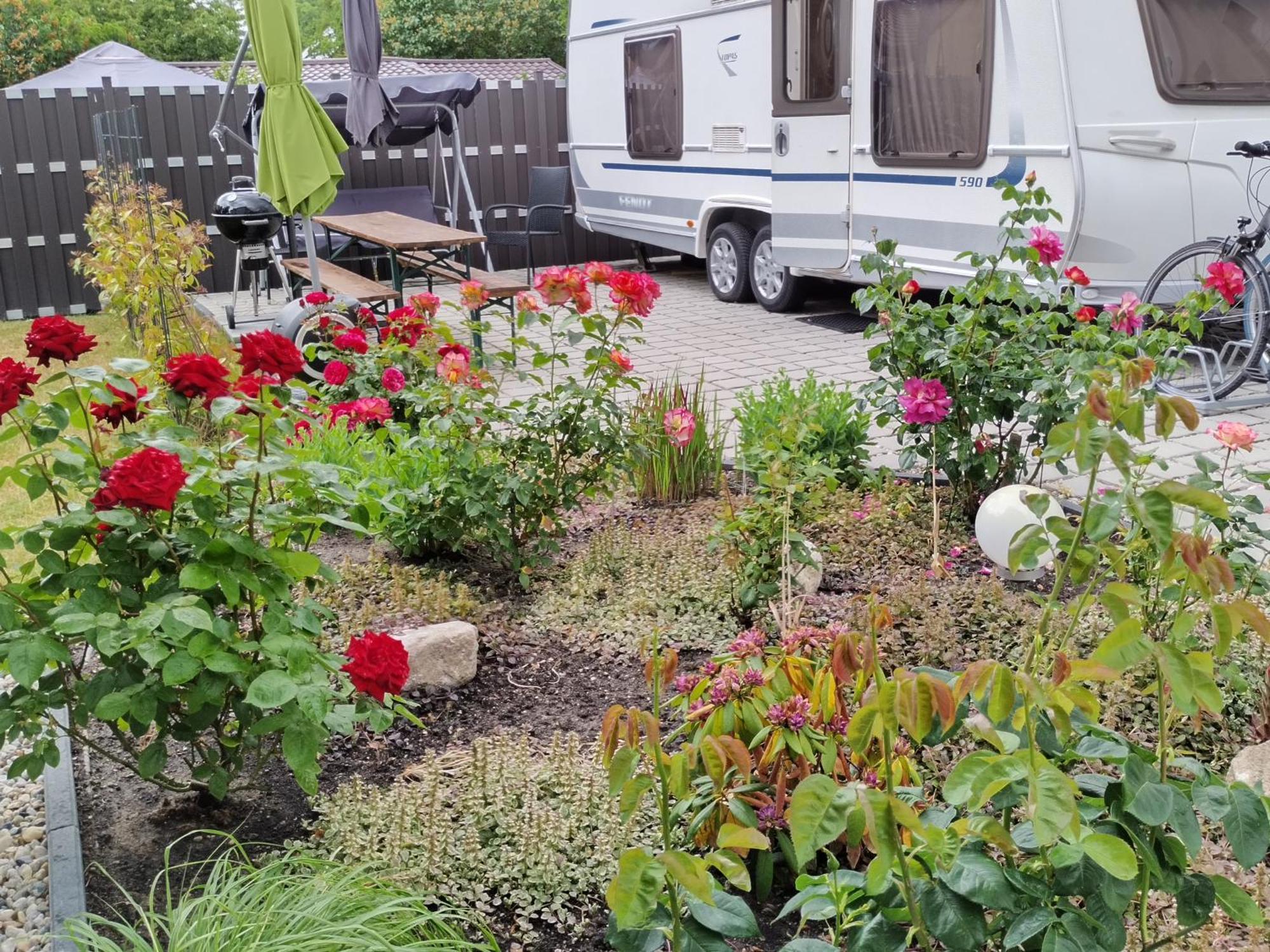 Schoene Neu Erbaute Wohnung Berlin Dış mekan fotoğraf